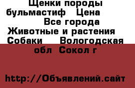 Щенки породы бульмастиф › Цена ­ 25 000 - Все города Животные и растения » Собаки   . Вологодская обл.,Сокол г.